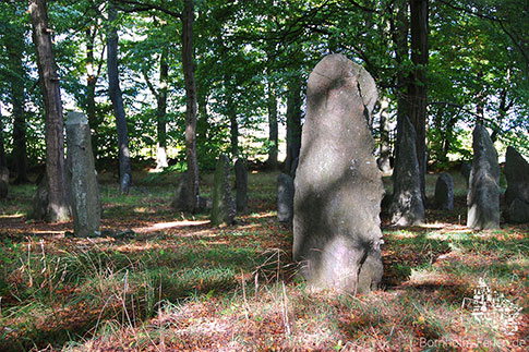 Die Bautasteine in Louisenlund auf der Insel Bornholm, Daenemark