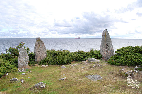 Stammershalle Bautasteine, Insel Bornholm, Daenemark