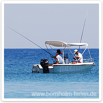 Mit der Angel auf die Ostsee bornholm, ostsee, boot