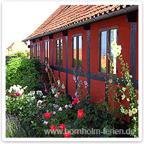 Haus mit Blumengarten in Boderne bornholm, haus