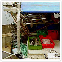 Frisch gefangen - direkt in die Küche bornholm, boot, fisch