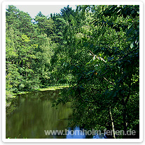 Kleiner See in Almindingen Kleiner See auf Bornholm