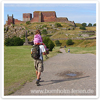 Wanderweg zur Burg Hammershus bornholm, wanderweg, wanderer, burg, hammershus
