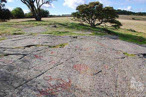 Die Felszeichnungen (Petroglyphen) von Madsebakke bei Sandvig auf Bornholm
