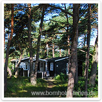 Ferienhaus im Kiefernwald von Sommerodde ferienhaus, sommerodde, bornholm