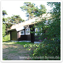 Ferienhaus im Kiefernwald von Stampen Ferienhaus im Kiefernwald von Stampen