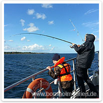 Hochseeangeln um Bornholm auf dem Kutter Fortuna Hochseeangeln um Bornholm auf dem Kutter Fortuna