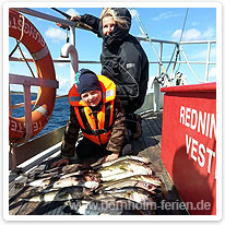 Reicher Dorsch-Fang auf der Fortuna Hochseeangeln auf Dorsch um Bornholm