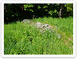 Die Ruine der Spindlegård Kapelle Die Ruine der Spindlegård Kapelle, Bornholm