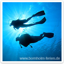 Taucher in der Ostsee um Bornholm bornholm, taucher, ostsee