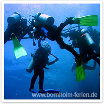 Taucher eines Tauchkurses bornholm, taucher, ostsee