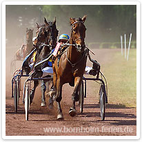 Trabrennen - Nationalsport auf Bornholm trabrennen, bornholm