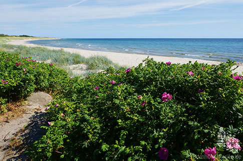 Boderne Strand, Insel Bornholm, Daenemark