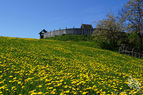 Bornholms Mittelalterzentrum - So lebten die Bornholmer im 12. Jahrhundert, Insel Bornholm, Daenemark