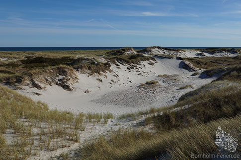 Die weiten Dünen von Dueodde im Süden der Insel Bornholm, Dänemark