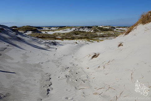 Die Dünenlandschaft von Dueodde, Insel Bornholm, Dänemark