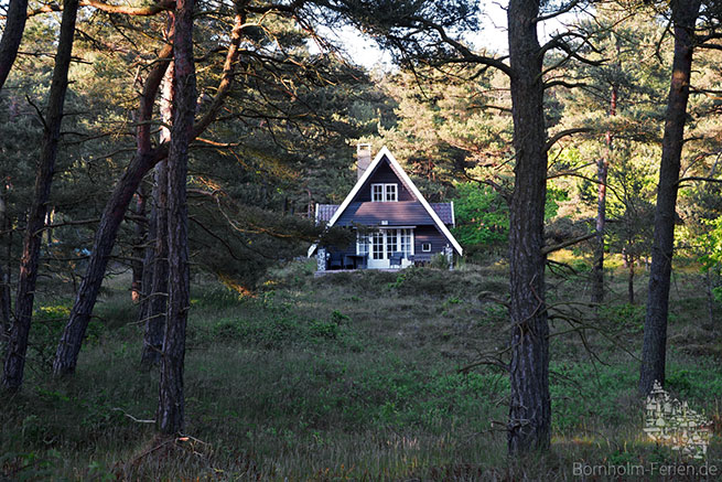 Bornholmer Ferienhaus auf einem Naturgrundstueck im Strandwald, Ostsee, Insel Bornholm, Daenemark