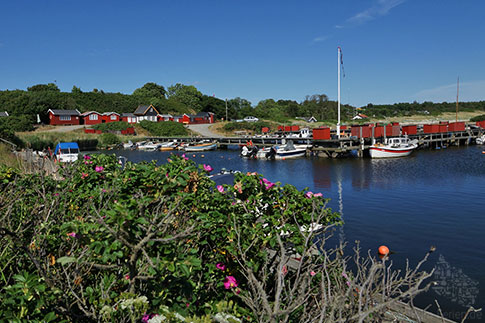 Hafen, Boderne, Ostsee, Insel Bornholm, Daenemark