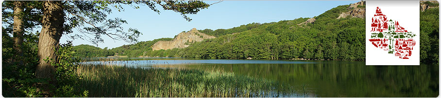 Seen auf Bornholm, Moore, Bäche & Feuchtgebiete