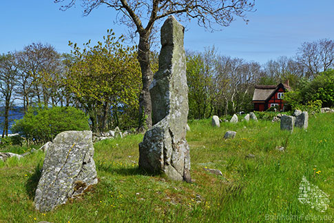 Hellig Kvinde Bautasteine, Bolshavn, Insel Bornholm, Ostsee, Daenemark