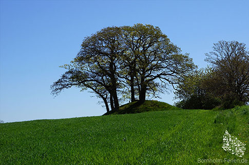 Das Hügelgrab von Hallebrøndshøj auf Bornholm