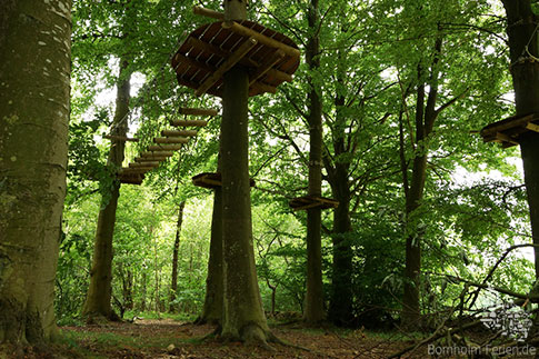 Kletterbahn in den Baumkronen des Til-Tops Kletterparks Bornholm