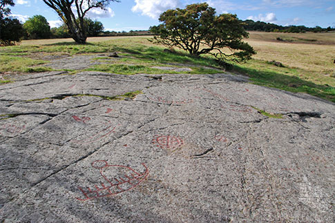 Felszeichnung, Petroglypen, Insel Bornholm, Daenemark
