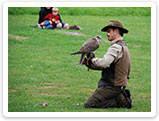 Raubvogelshow Bornholm, Rovfugleshow