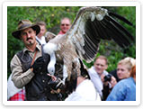 Raubvogelshow Bornholm, Rovfugleshow