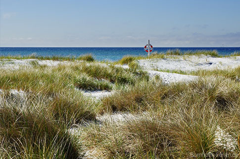 Dueodde Strand, Suedbornholm, Insel Bornholm, Ostsee, Daenemark