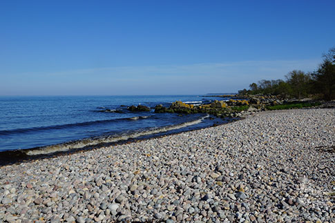 Die steinige Bucht an der Kobbea Muendung, Insel Bornholm, Daenemark