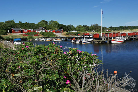 Boderne Hafen, Suedbornholm, Insel Bornholm, Ostsee, Daenemark