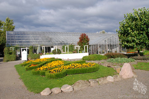 Das Tropenhaus des Schmetterlingsparks, Bornholm, Dänemark