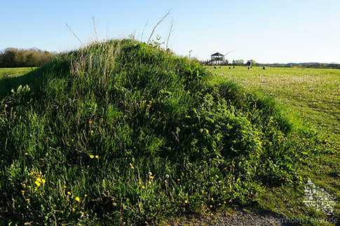 Der Erdwall der Wallanlage am Rispebjerg, Bornholm