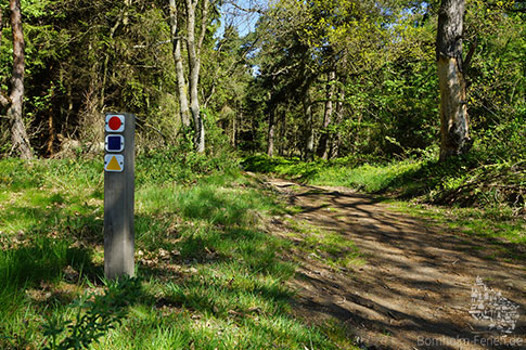 Gut markiert sind die Wege durch die Paradishügel, Paradisbakkerne, Bornholm, Dänemark